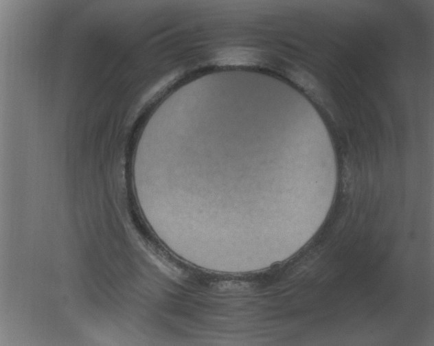 X0000080730535200701121913