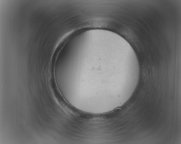 X0000080730536200701121913