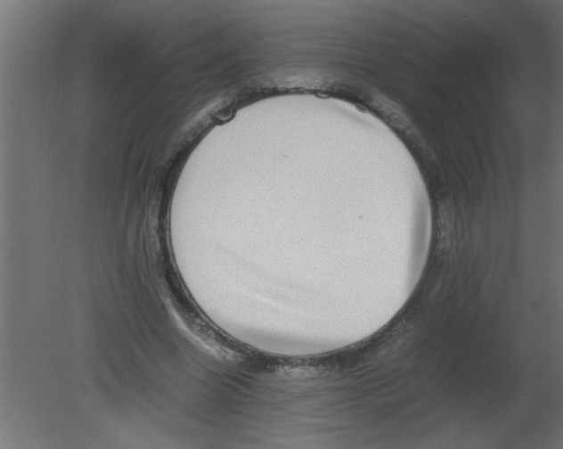 X0000080730538200701121913