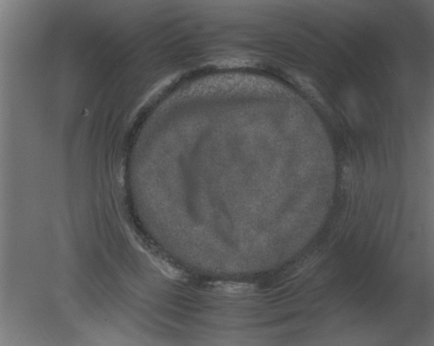 X0000080730539200701121913