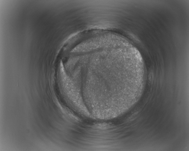 X0000080730540200701121913