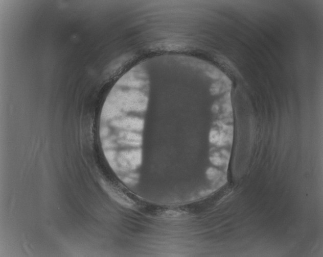 X0000080730542200701121913