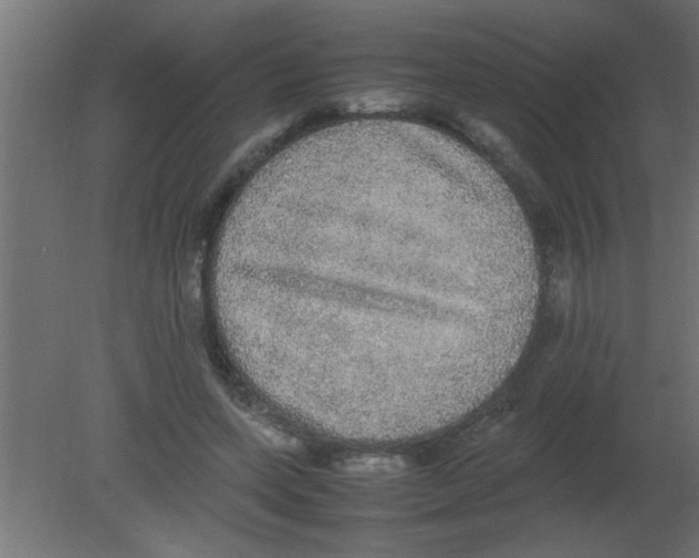 X0000080730543200701121913