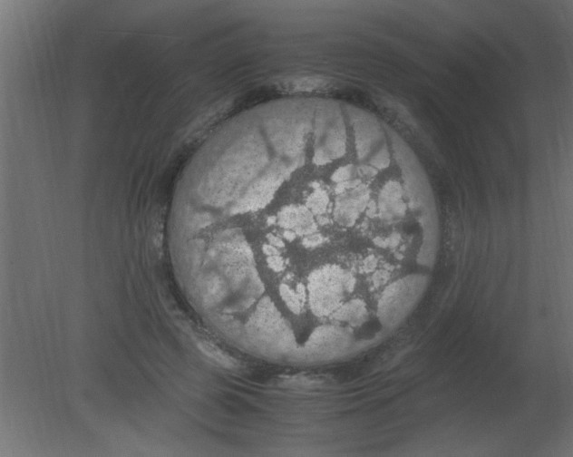 X0000080730545200701121913