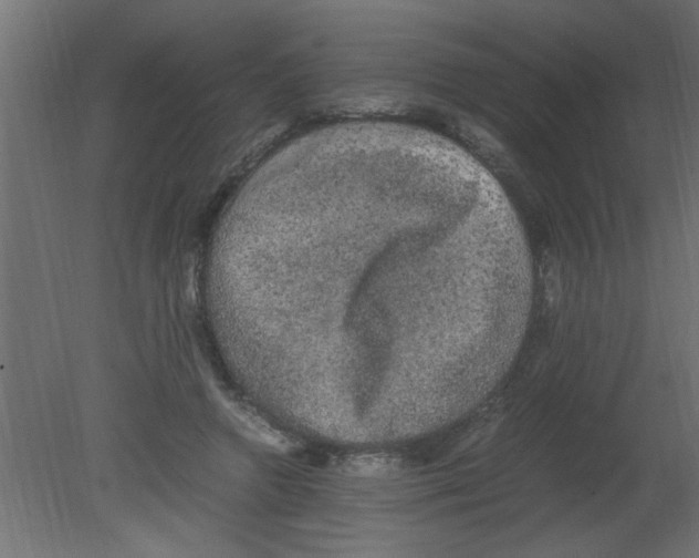 X0000080730546200701121913