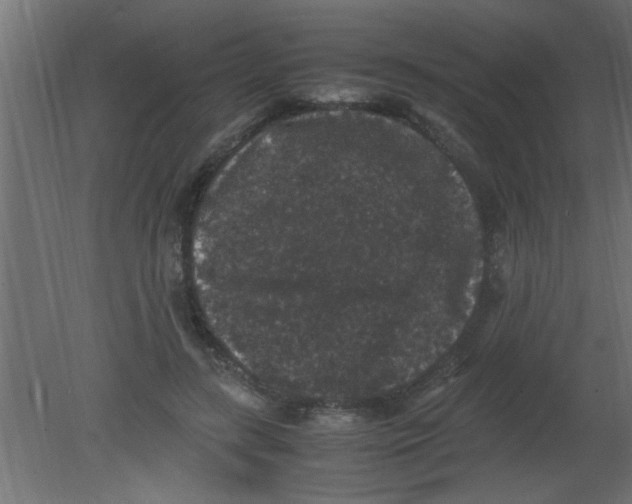 X0000080730547200701121913