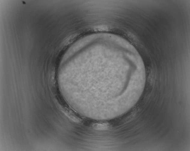 X0000080730548200701121913