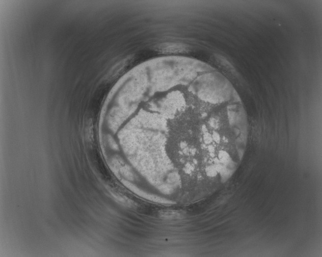 X0000080730549200701121913