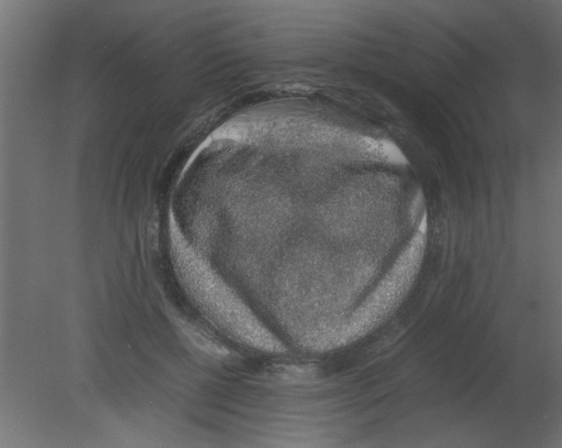 X0000080730552200701121913