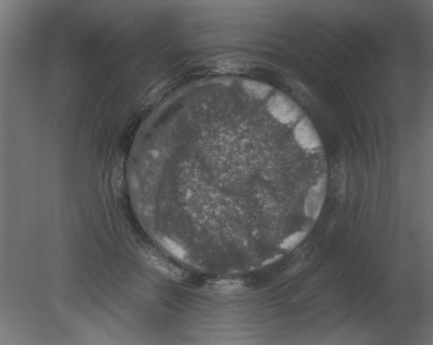 X0000080730554200701121913