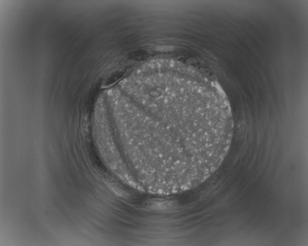 X0000080730555200701121913