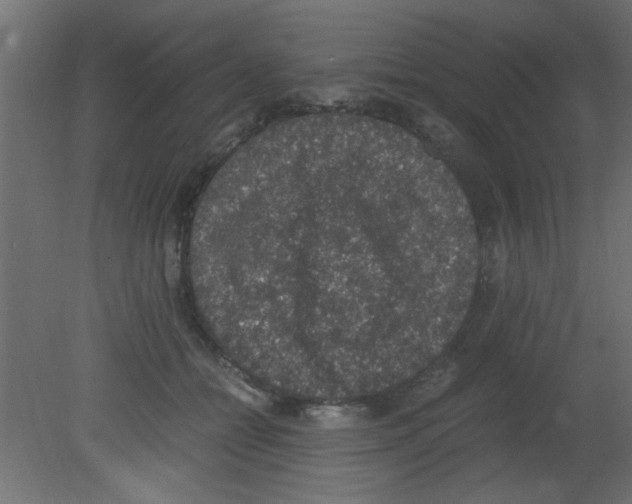 X0000080730558200701121913