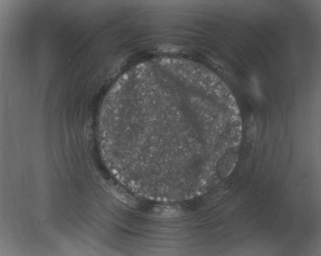 X0000080730559200701121913