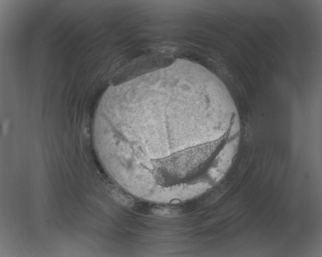 X0000080730561200701121913