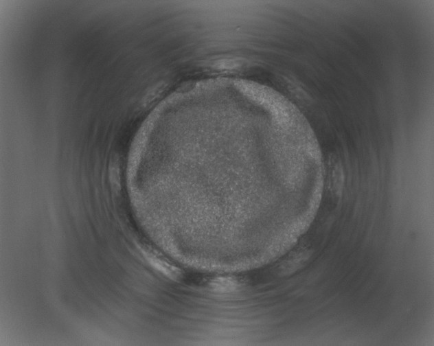 X0000080730562200701121913