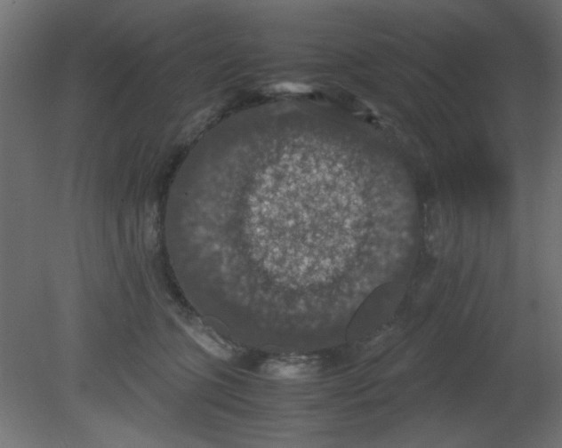 X0000080730563200701121913