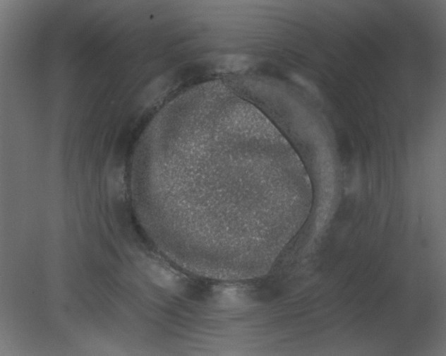 X0000080730564200701121913