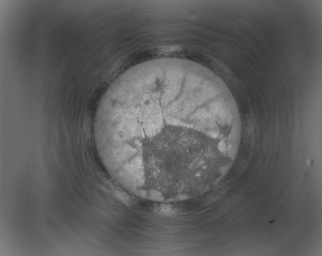 X0000080730565200701121913