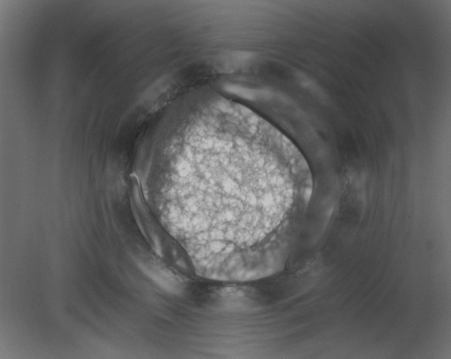 X0000080730566200701121913