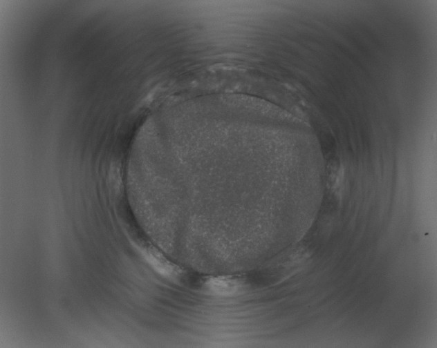 X0000080730568200701121913