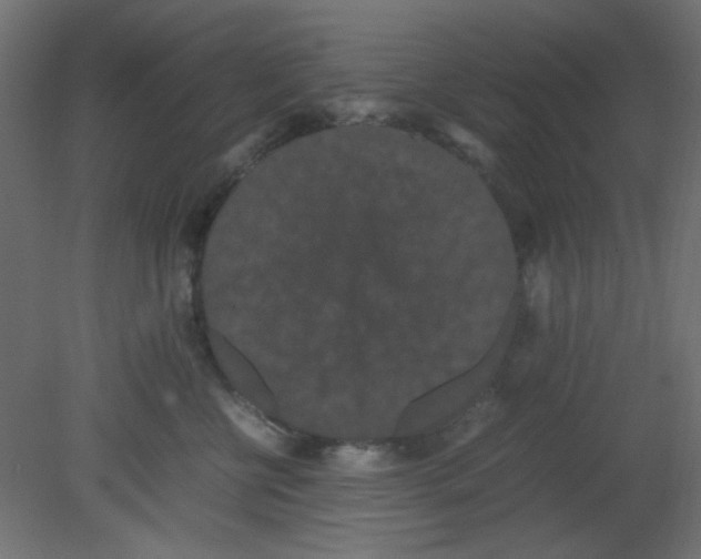 X0000080730570200701121913