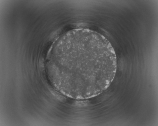 X0000080730571200701121913