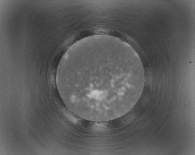 X0000080730573200701121913