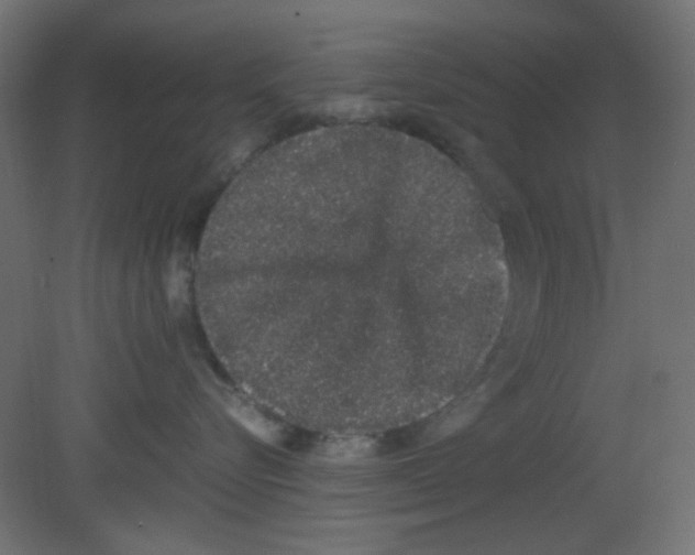 X0000080730576200701121914