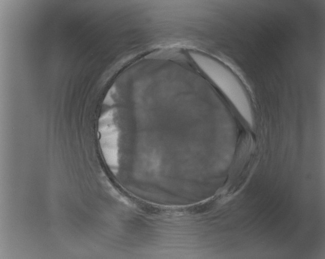 X0000080730577200701121913