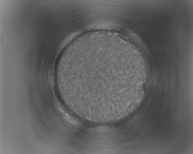 X0000080730578200701121913