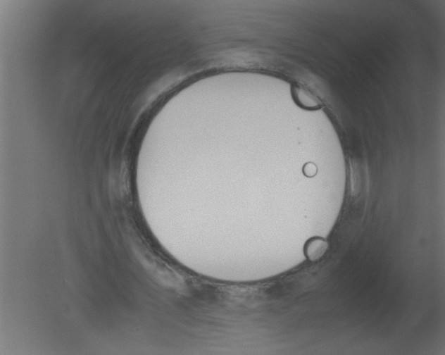 X0000080730579200701121913