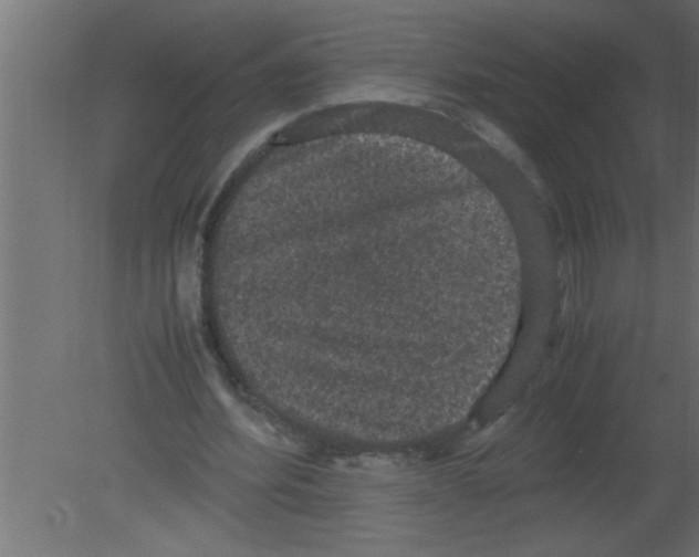 X0000080730580200701121913