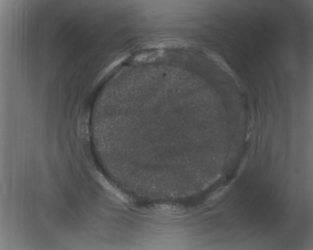 X0000080730585200701121913