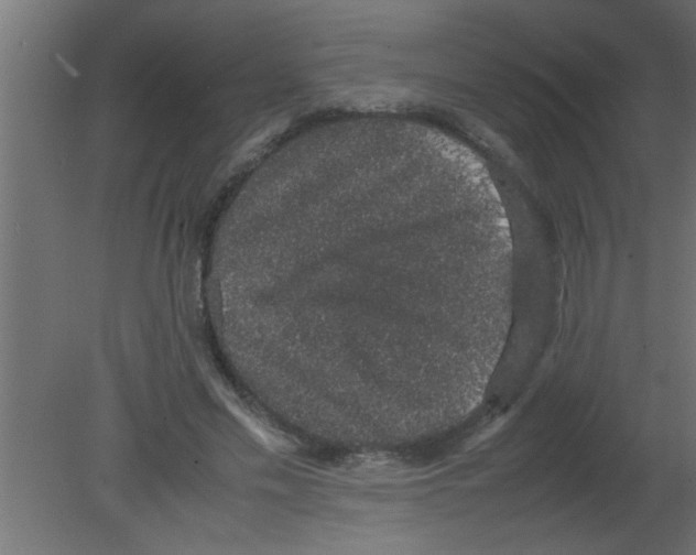 X0000080730589200701121912