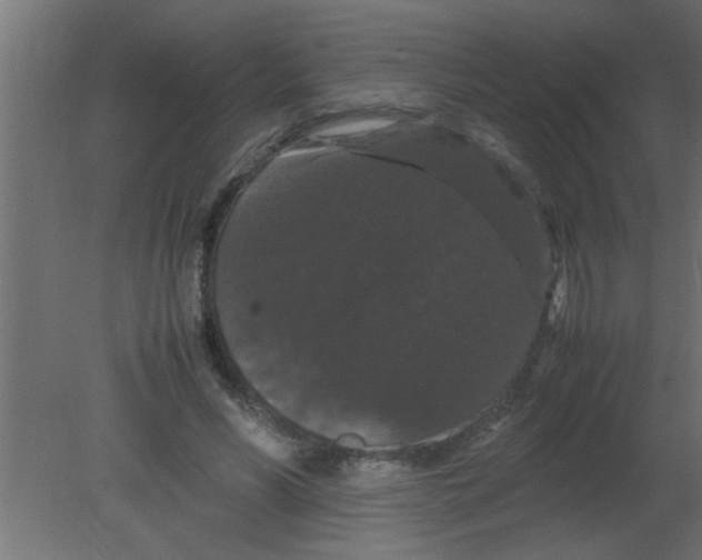 X0000080730590200701121912