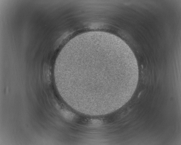 X0000080730592200701121912