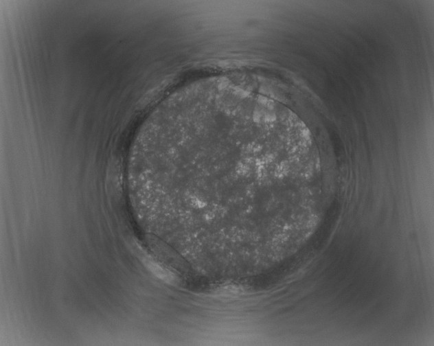 X0000080730593200701121912