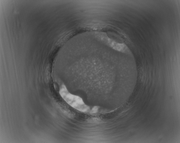 X0000080730594200701121912