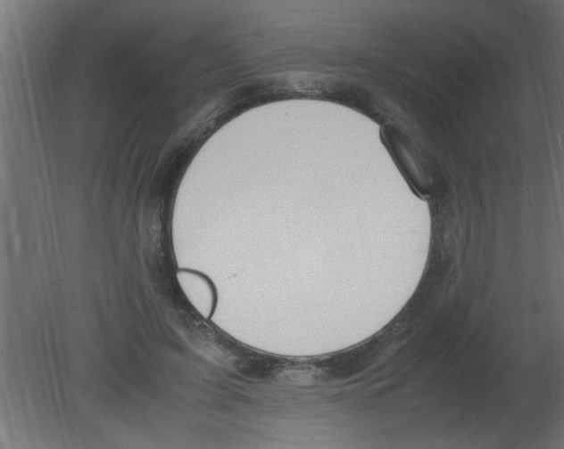 X0000080730595200701121912