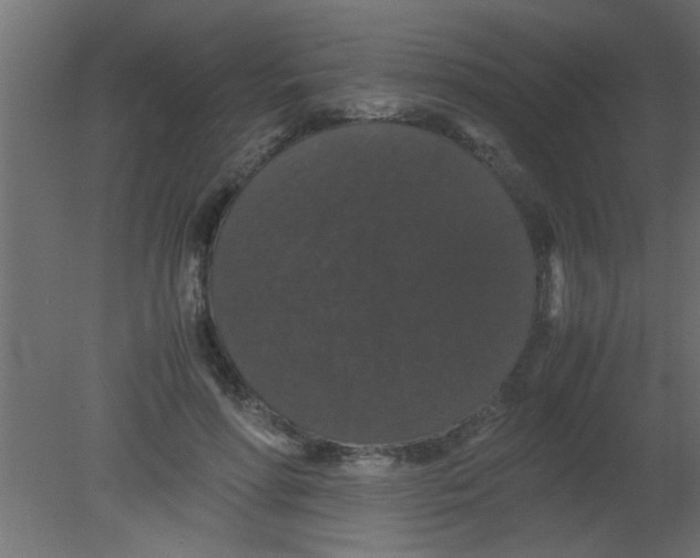 X0000080730598200701121912