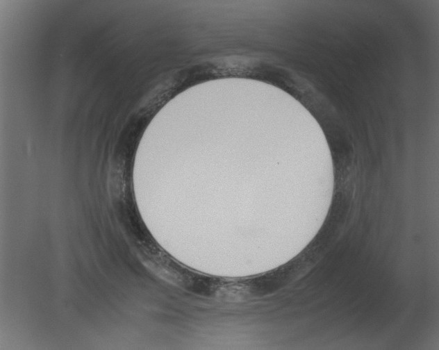 X0000080730599200701121912