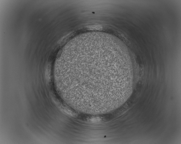 X0000080730600200701121912