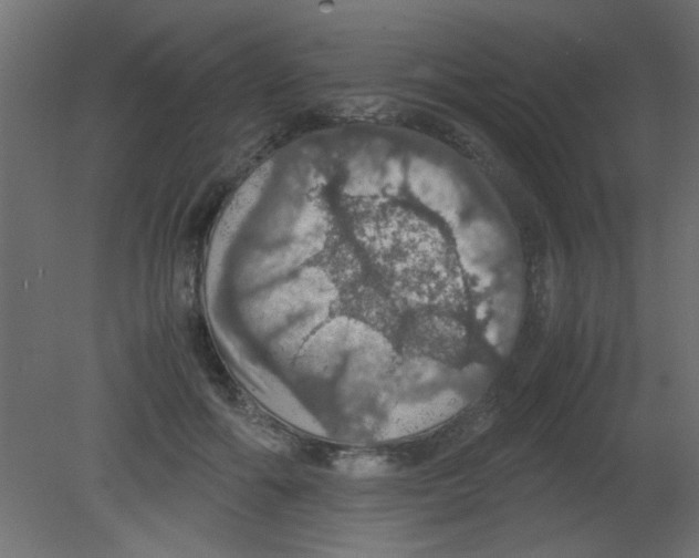 X0000080730602200701121912