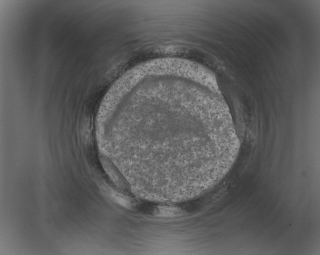 X0000080730605200701121912