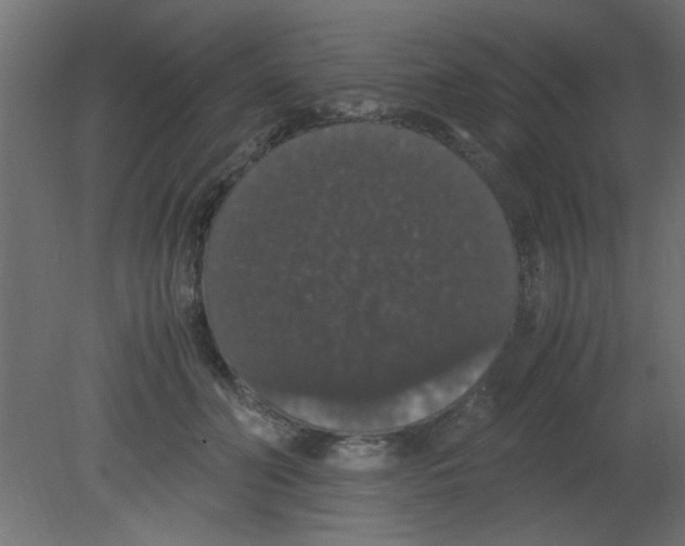 X0000080730606200701121912