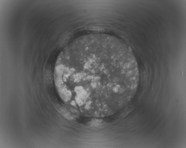 X0000080730609200701121912