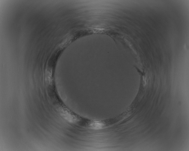 X0000080730610200701121912