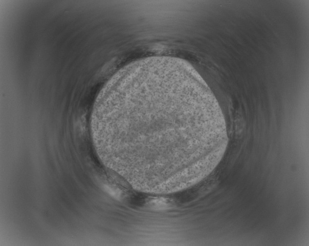 X0000080730611200701121912