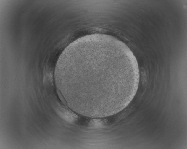 X0000080730613200701121912