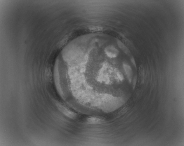 X0000080730614200701121912